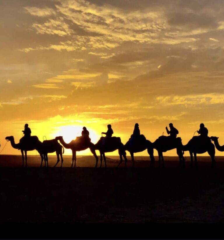 WhatsApp Image 2026-03-11 at 14.59.34