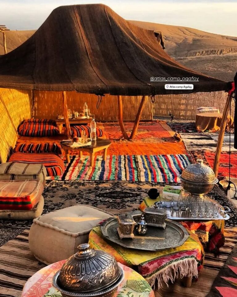 WhatsApp Image 2026-03-11 at 14.59.36