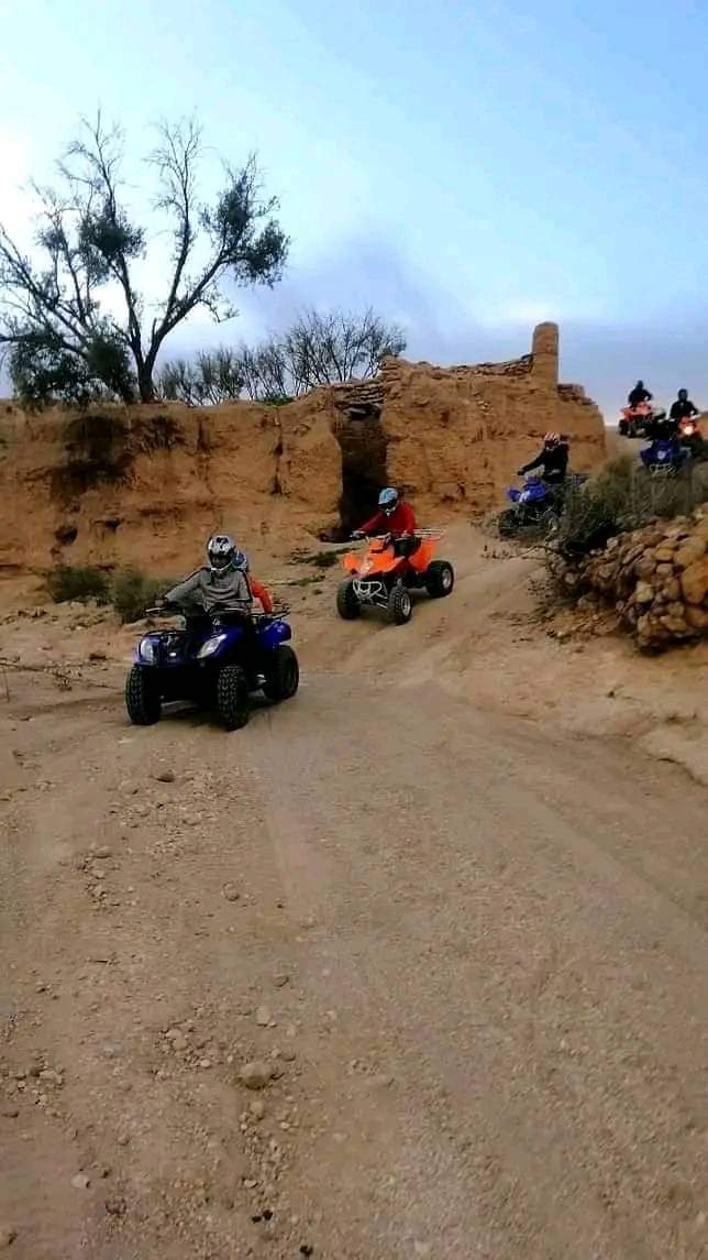 WhatsApp Image 2026-03-11 at 14.59.41 (3)